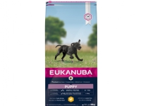 Eukanuba Euk Puppy Large Breed 15 kg von EUKANUBA