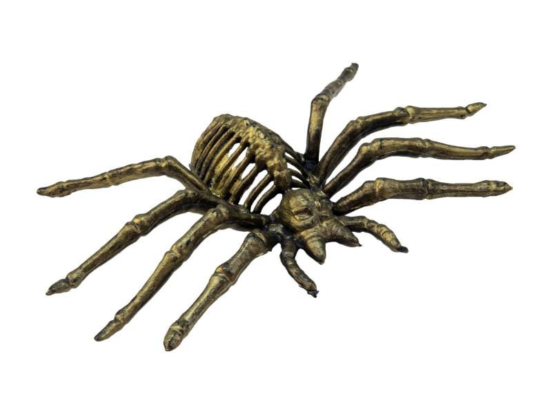Goldenes Spinnengerippe - 11cm - Halloween Dekoration - Spinne aus Kunststoff von EUROPALMS