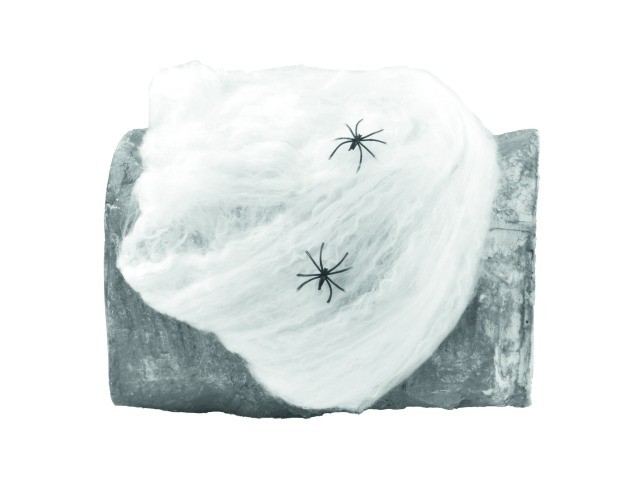Spinnennetz synthetisch, weiss, 50g Packung - Gruseldekoration + 2 Kunststoffspinnen - Spinnweben Spinnennetz synthetisch, weiss, 50g Packung - Gruseldekoration + 2 Kunststoffspinnen - Spinnweben von EUROPALMS