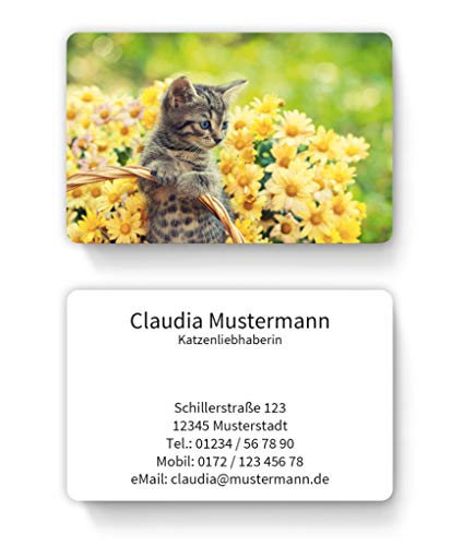 100 Premium-Visitenkarten inkl. Kartenspender - Motiv: süßes Kätzchen mit Blumen von EUROPRINT24