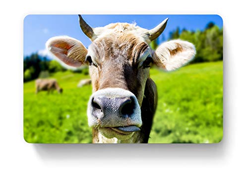 100 Visitenkarten inkl. Kartenspender - Design Kuh mit Hörnern von EUROPRINT24