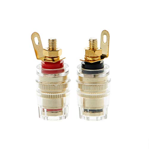 EUYueli 2 x 4 mm Bananenbuchsen-Steckverbinder, 4 mm, Bananenbuchse, Binderklemmen-Adapter EUYueli 2 x 4 mm Bananenbuchsen-Steckverbinder, 4 mm, Bananenbuchse, Binderklemmen-Adapter von EUYueli