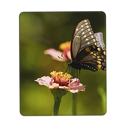 EVANEM Kleines Mauspad, 17,8 x 21,8 cm, Schmetterling auf Blumendruck, Laptop-Mauspad mit rutschfester Unterseite für Computerspiele EVANEM Kleines Mauspad, 17,8 x 21,8 cm, Schmetterling auf Blumendruck, Laptop-Mauspad mit rutschfester Unterseite für Computerspiele von EVANEM