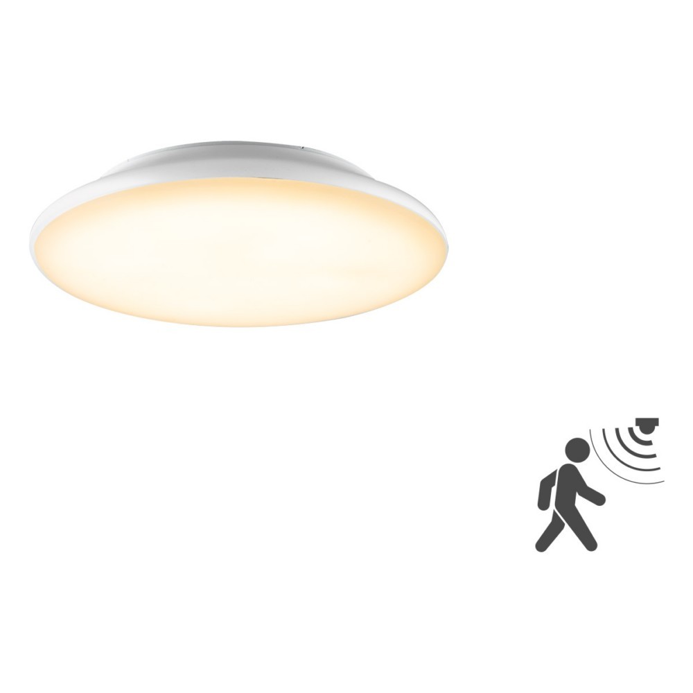 EVN Lichttechnik LED-Anbauleuchte L25120125BM EVN Lichttechnik LED-Anbauleuchte L25120125BM von EVN Lichttechnik