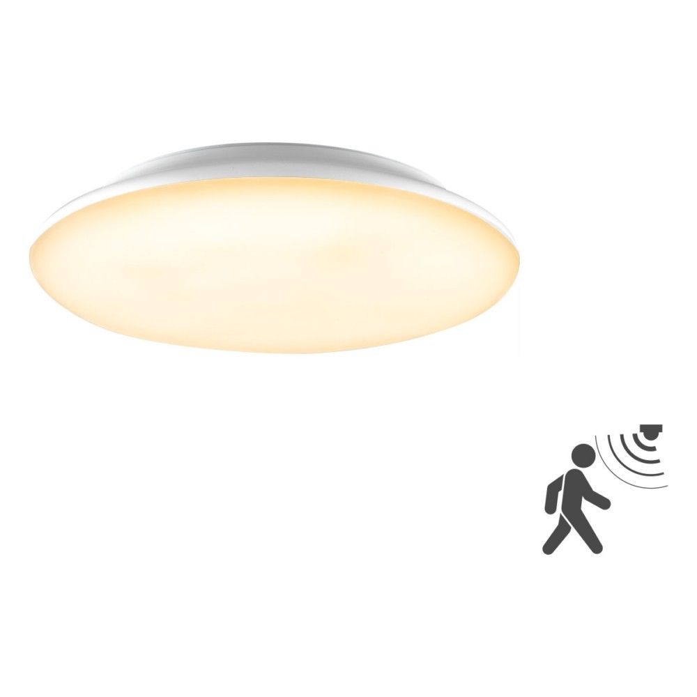 EVN Lichttechnik LED-Anbauleuchte L30180125BM EVN Lichttechnik LED-Anbauleuchte L30180125BM von EVN Lichttechnik