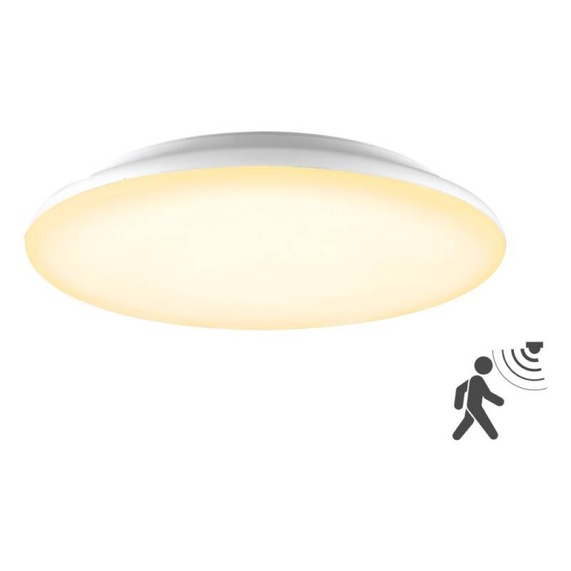 EVN Lichttechnik LED-Anbauleuchte L40300125BM von EVN Lichttechnik