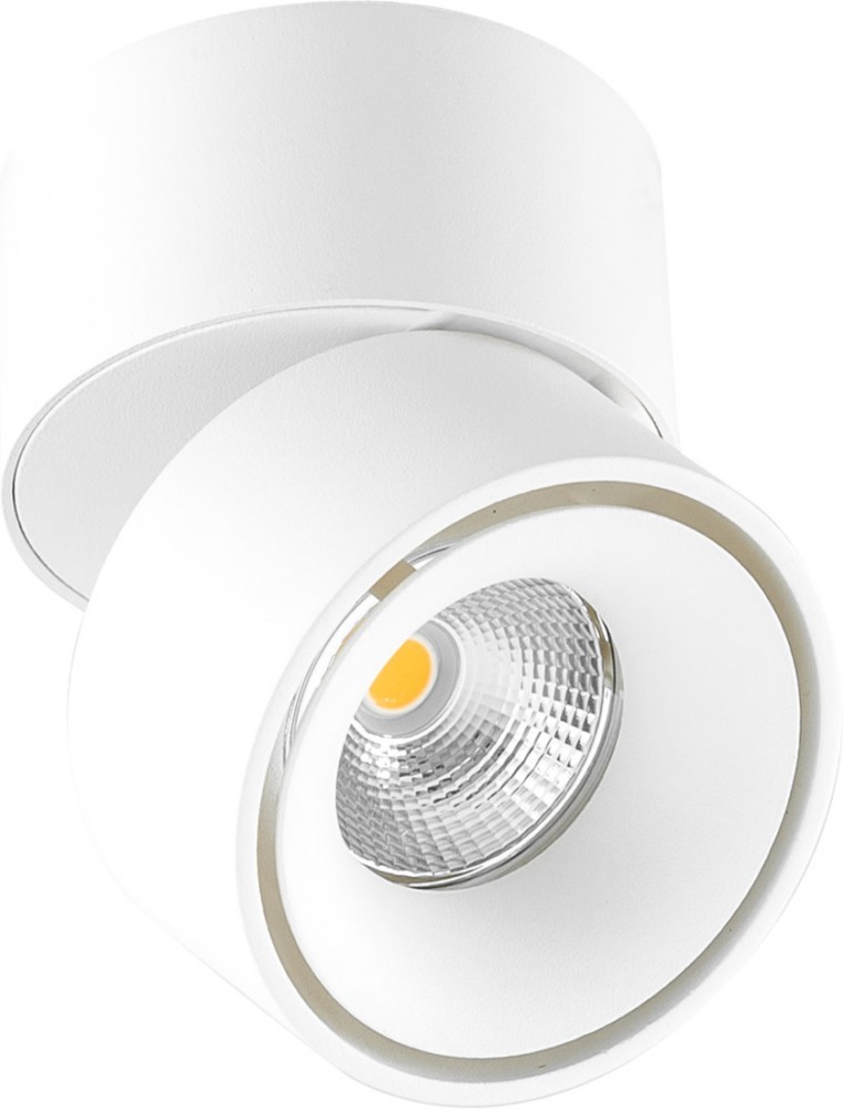 EVN Lichttechnik LED-Deckenanbau-Spot AS20090102 von EVN Lichttechnik