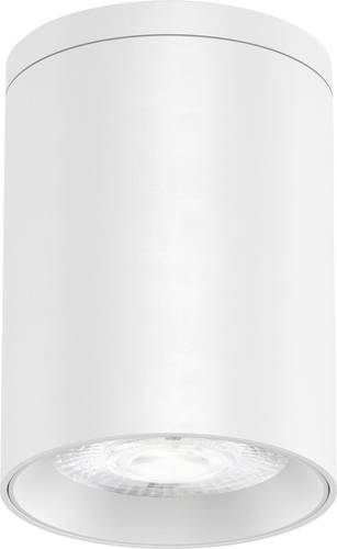 EVN AL54100102 LED-Deckenleuchte 10W Weiß EVN AL54100102 LED-Deckenleuchte 10W Weiß von EVN