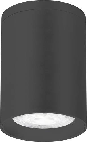 EVN AL54101502 LED-Deckenleuchte 10W Anthrazit EVN AL54101502 LED-Deckenleuchte 10W Anthrazit von EVN