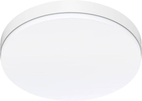 EVN AP27250125 LED-Panel 25W Warmweiß bis Tageslichtweiß Weiß von EVN