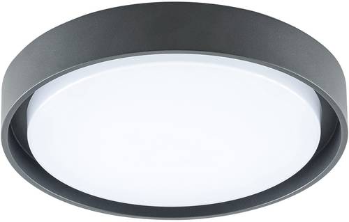 EVN DAR54141502 LED-Deckenleuchte 14W Anthrazit EVN DAR54141502 LED-Deckenleuchte 14W Anthrazit von EVN