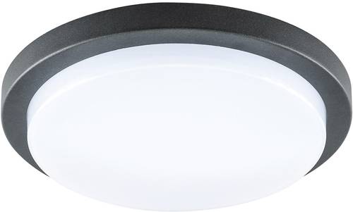 EVN DARH54141502 LED-Deckenleuchte 14W Anthrazit von EVN