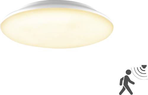EVN L30180125BM LED-Deckenleuchte 18W Weiß von EVN