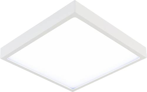 EVN PAQ190140 LED-Panel 18W Neutralweiß Weiß EVN PAQ190140 LED-Panel 18W Neutralweiß Weiß von EVN
