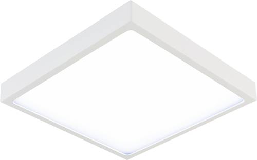 EVN PAQ190140 LED-Panel 18W Neutralweiß Weiß von EVN