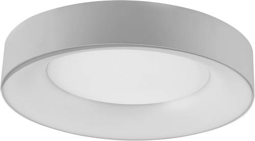 EVN R40251425 LED-Deckenleuchte 25W Silber von EVN