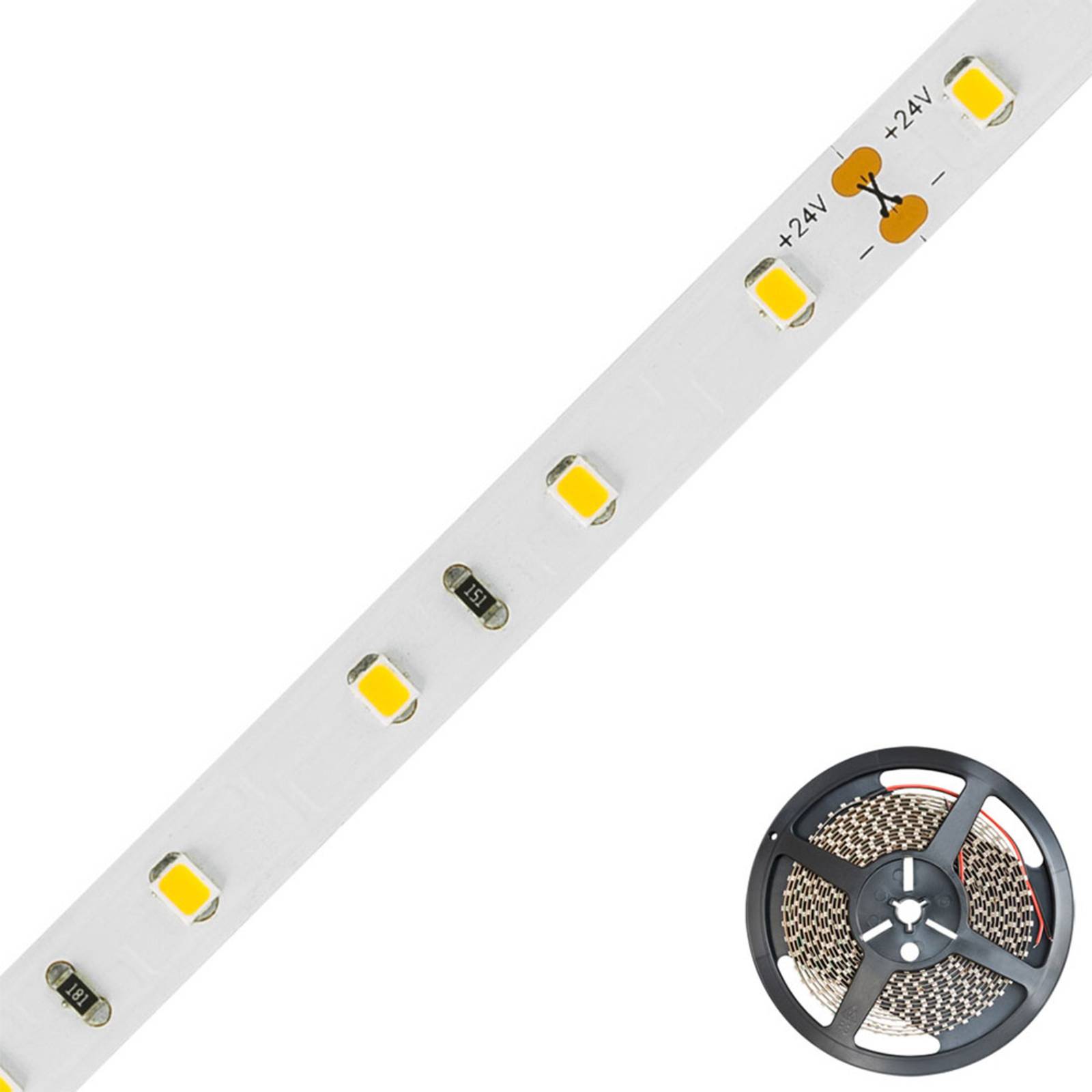 EVN STR5424 LED-Strip IP54 5m 24W 2.700K EVN STR5424 LED-Strip IP54 5m 24W 2.700K von EVN