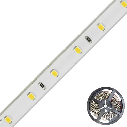 EVN STR6724302802 LED-Streifen EEK: F (A - G) mit offenem Kabelende 24V 5m Warmweiß 1St. von EVN