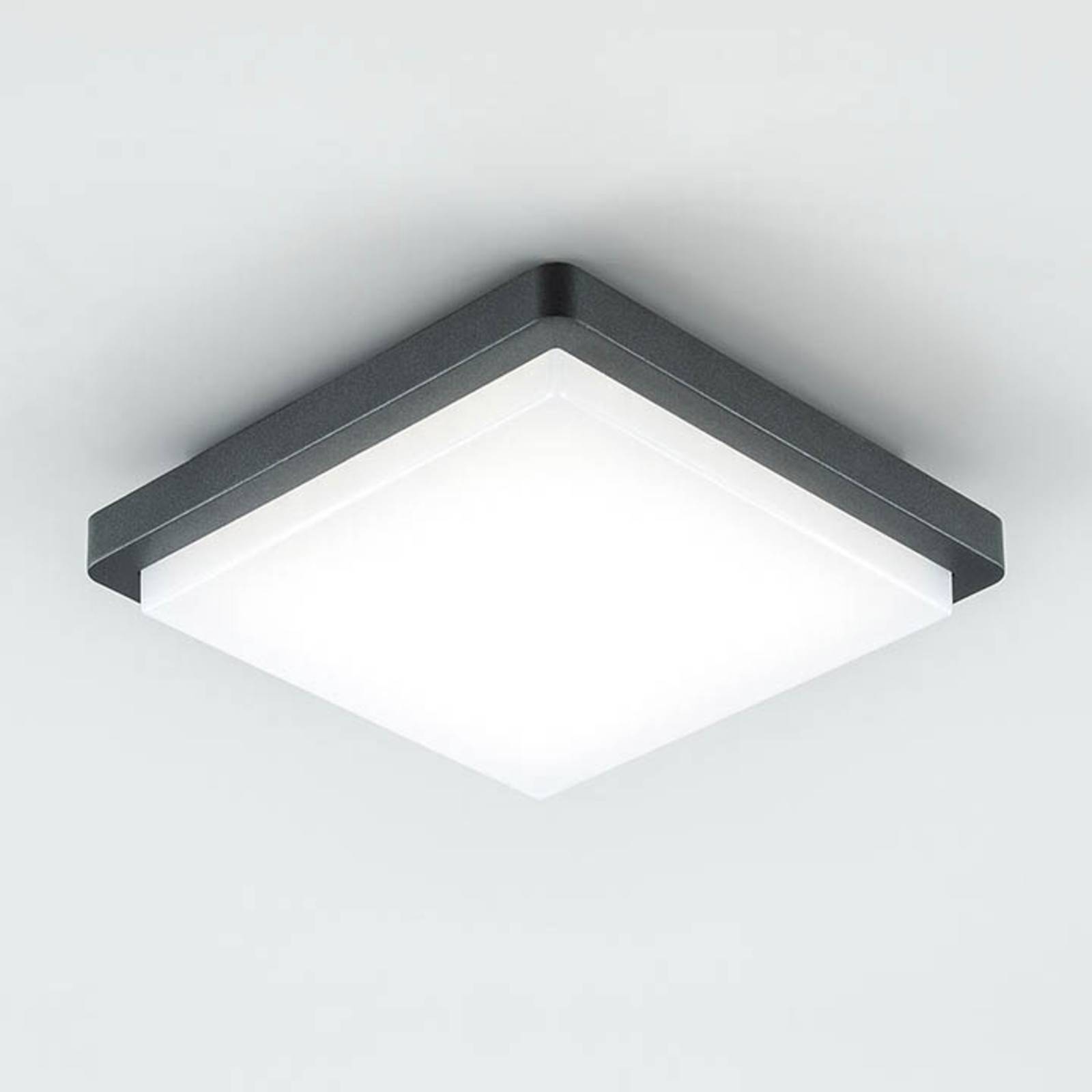 EVN LED-Außendeckenleuchte Tectum, 23x23 cm, anthrazit, 150° EVN LED-Außendeckenleuchte Tectum, 23x23 cm, anthrazit, 150° von EVN