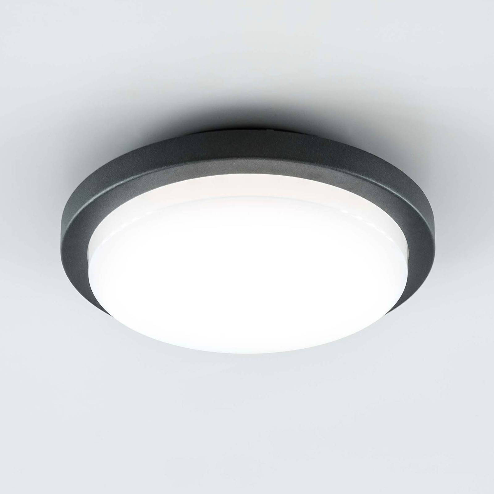 EVN Tectum LED-Außendeckenleuchte rund, Ø 24,6 cm EVN Tectum LED-Außendeckenleuchte rund, Ø 24,6 cm von EVN