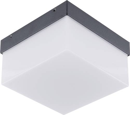 EVN WAQ54091502 LED-Außenwandleuchte 9W Anthrazit von EVN