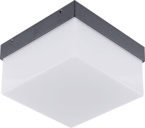 EVN WAQ54091540 LED-Außenwandleuchte 9W Anthrazit von EVN