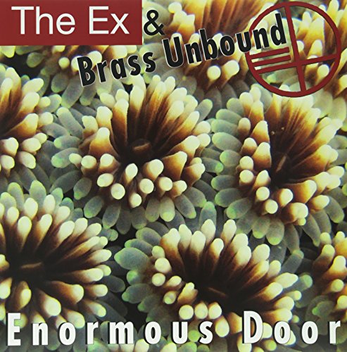 Enormous Door [Vinyl LP] von EX RECORDS
