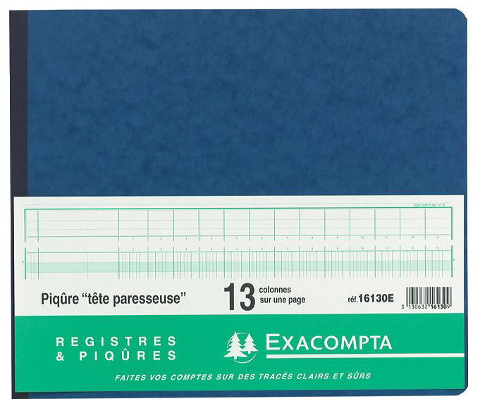 EXACOMPTA Geschäftsbuch mit Kopfleiste, 24 Spalten von EXACOMPTA