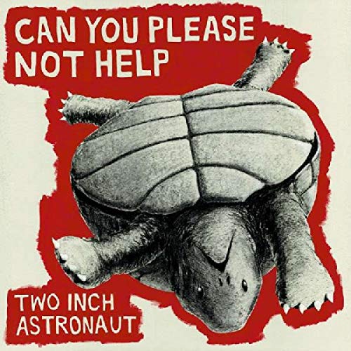 Can You Please Not Help [Vinyl LP] von EXPLODING IN SOUND