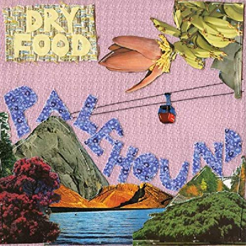 Dry Food [Vinyl LP] von EXPLODING IN SOUND