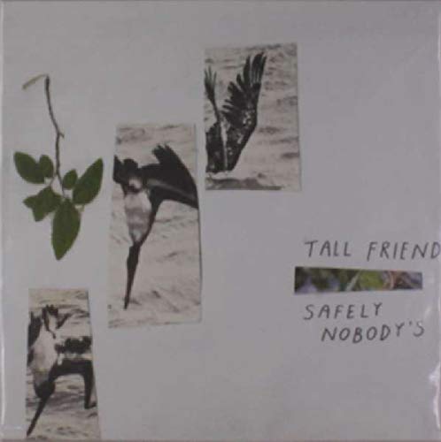 Safely Nobody'S [Vinyl LP] von EXPLODING IN SOUND