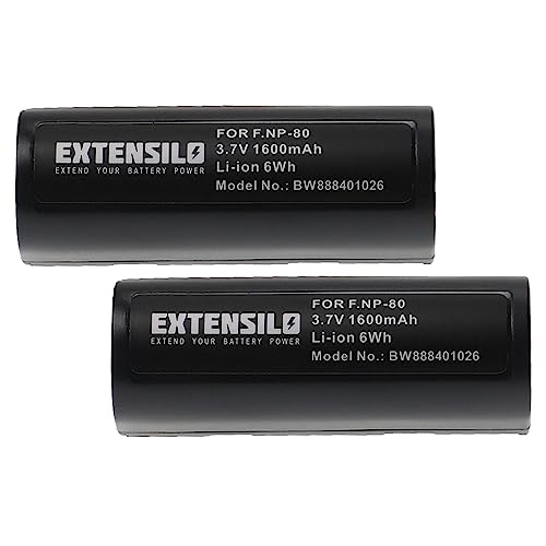 EXTENSILO 2X Akku kompatibel mit Kodak DC4800, DC4800 Zoom Kamera (1600mAh, 3,7V, Li-Ion) von EXTENSILO