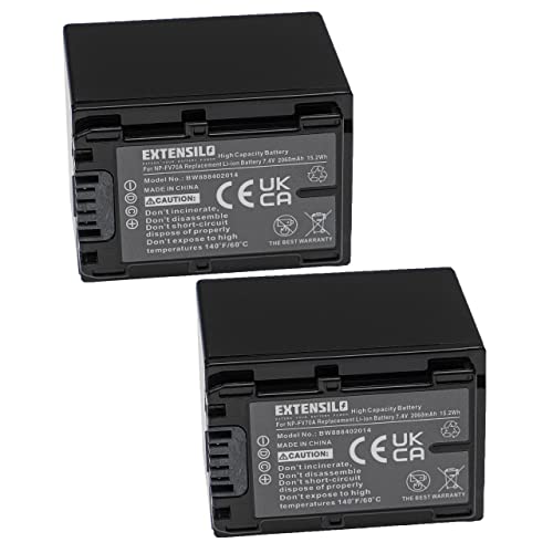 EXTENSILO 2X Akku kompatibel mit Sony FDR-AX53, FDR-AX700, FDR-AX53E, FDR-AX100E Kamera (2060mAh, 7,4V, Li-Ion) von EXTENSILO