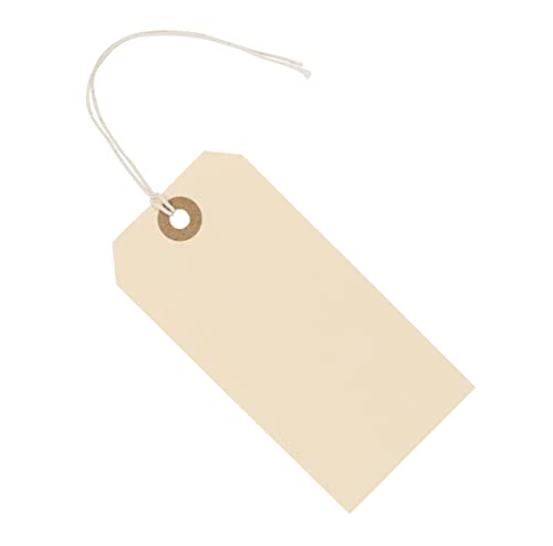 Anhänger Etiketten 12 x 6 cm, 100 Stück, Preisetiketten mit Faden, Hängeetiketten konfektioniert, Anhängeschilder, Kartonetiketten, Pappanhänger Anhänger Etiketten 12 x 6 cm, 100 Stück, Preisetiketten mit Faden, Hängeetiketten konfektioniert, Anhängeschilder, Kartonetiketten, Pappanhänger von EZDOM