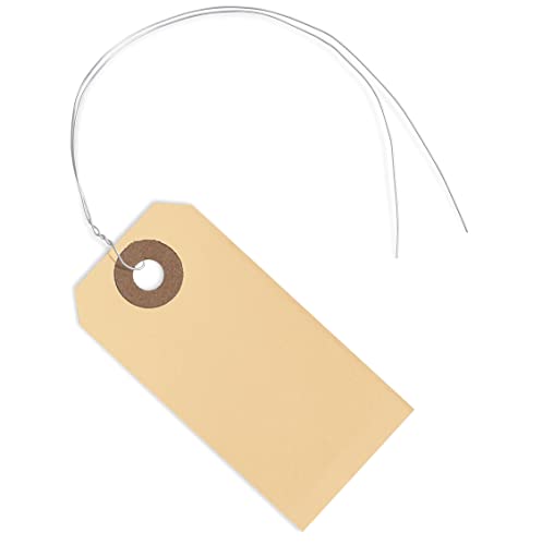Etiketten mit elastischer Schnur #1, Box mit 100 Stück – 7,9 x 4,5 cm, Manila Etiketten mit verstärktem Loch und elastischen Schlaufen von EZDOM