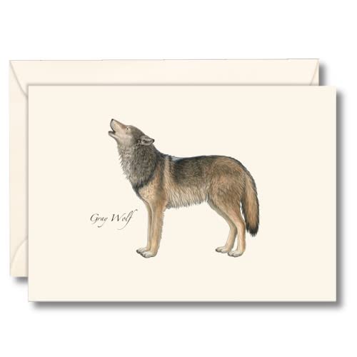 Earth Sky + Water Gray Wolf Notizen, Grau, Tierdruck, 8,9 x 12,7 cm, Naturrealistisch, Grau, Unisex-Erwachsene, Allgemein Earth Sky + Water Gray Wolf Notizen, Grau, Tierdruck, 8,9 x 12,7 cm, Naturrealistisch, Grau, Unisex-Erwachsene, Allgemein von Earth Sky + Water