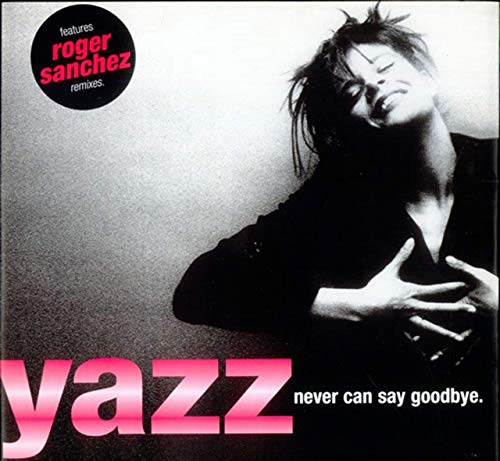 Never Can Say Goodbye [Vinyl Maxi-Single] von East West