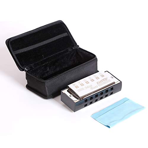 East Top Bass Harmonica Professionelle Orchester-Mundharmonika T1-1, Professionelle Mundharmonika für Erwachsene, professionelle Bandspieler und Mundharmonika-Liebhaber East Top Bass Harmonica Professionelle Orchester-Mundharmonika T1-1, Professionelle Mundharmonika für Erwachsene, professionelle Bandspieler und Mundharmonika-Liebhaber von East top
