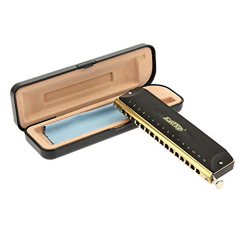 East Top Chromatische Mundharmonika Tonart C 16 Hole 64 Tone Chromatic Harmonica für professionelle Spieler, Anfänger, Studenten, Erwachsene,als bestes Geschenk(BK) von East top