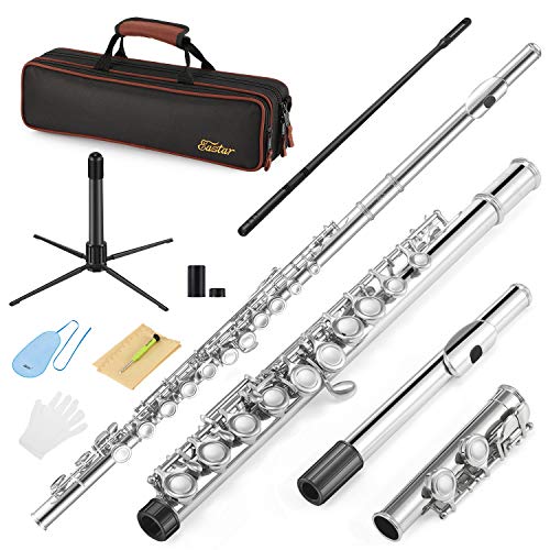 Eastar EFL-1 16 Keys Flute Nickel Plated Close Hole von Eastar