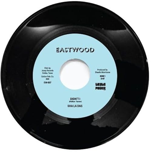 Didn't I [Vinyl LP] von Eastwood Music Group