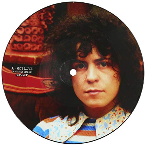 Hot Love (Pic Disc) [Vinyl LP] von Easy Action