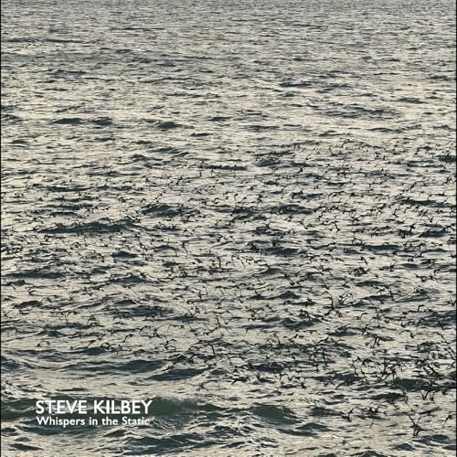 Whispers In The Static [Vinyl LP] von Easy Action