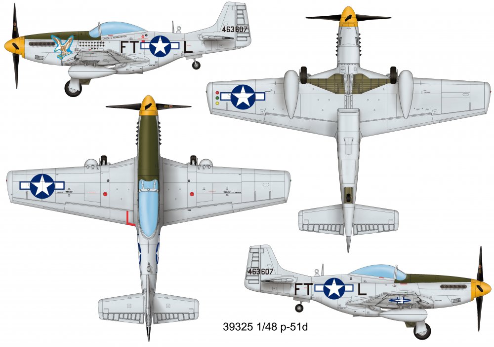 P-51D von Easy Model
