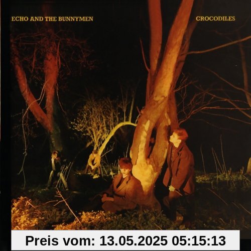 Crocodiles Crocodiles von Echo & the Bunnymen