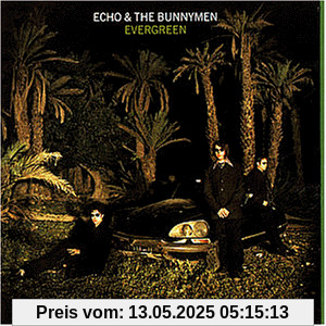 Evergreen von Echo & the Bunnymen