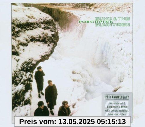 Porcupine Porcupine von Echo & the Bunnymen