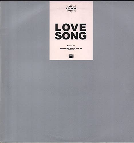 Love Song [Vinyl Single] von Echo