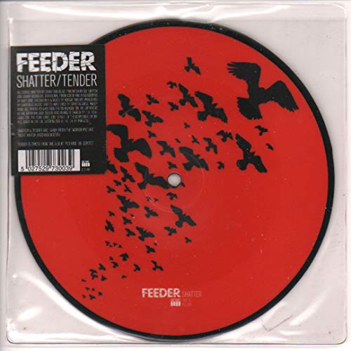 Shatter / Tender-Ltd [Vinyl Single] von Echo