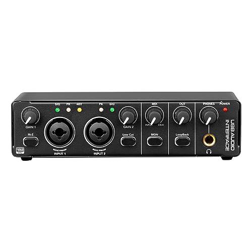 Echwave 4-Kanal Interface Kleine Externe Tonaufnahme Professionelle Soundkarte PC USB Soundkarte Treiber Aufnahmefunktion für Singen Aufnahme von Echwave